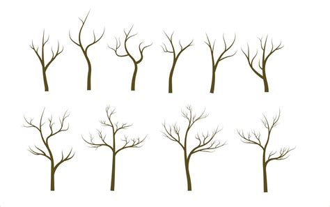 Set Of Bare Tree Without Leaves Vector Art At Vecteezy