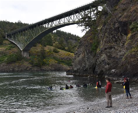 Diving Deception Pass In The News Anacortes Today