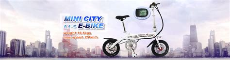 Electric Bike Battery 24v 36v 48v For Ebike Shuangye Ebike