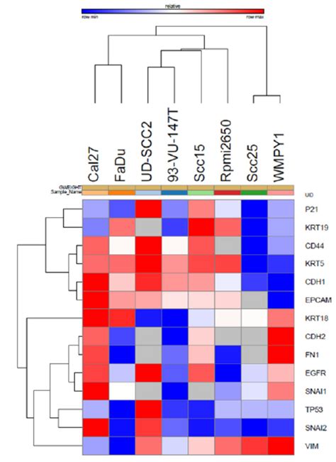 Figure S Heatmaps Of Gene Expression Profiles A Heatmaps Of The Best