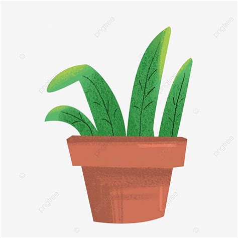 Plant Pots Png Transparent Potted Plants Green Plants Plant Pot