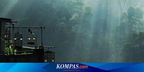 Suhu Di Bandung Terasa Lebih Dingin Dari Biasanya Ini Penyebabnya