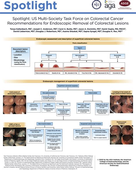 Spotlight Us Multi Society Task Force On Colorectal Cancer Recommendations For Endoscopic