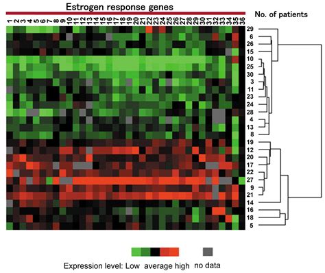 3 Dimensional Microarray Analysis Of Estrogen Signal Related Genes In