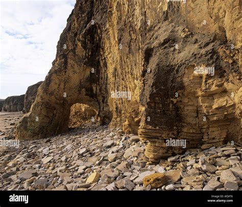 Eroding Magnesian Limestone Cliffs At Marsden Bay Tyne Wear England