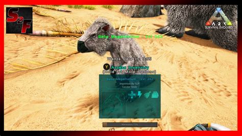 Taming And Breeding Megatherium S ARK Survival Evolved Ep 21