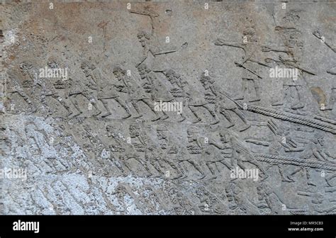 Assyrian wall relief from sennacheribs palace hi-res stock photography and images - Alamy