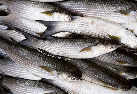 Bangus Or Milkfish The National Fish Of The Philippines Yummy Kitchen