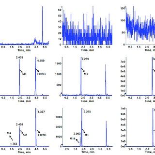 Representative Multiple Reaction Monitoring Chromatograms Of Tj