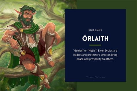 150+ Druid Names For Your Newborn Kids