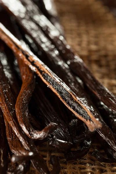 Raw organic vanilla beans Stock Photos, Royalty Free Raw organic ...