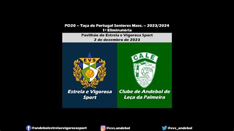 Estrela e Vigorosa Sport Clube de Andebol de Leça da Palmeira