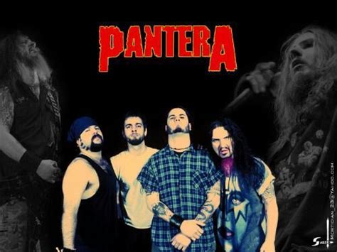 Pantera Wiki •metal• Amino