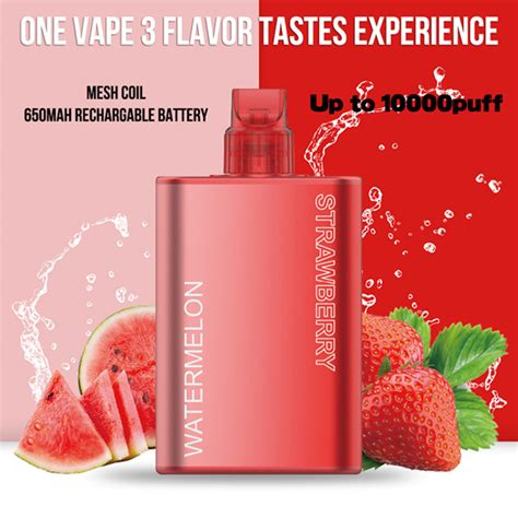 2023 New Arrival Factory OEM 10000puffs Mesh Coil Disposable Vape