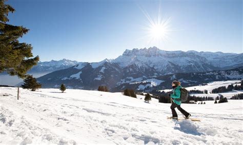 18 Morgins Foilleuse Strecke Morgins Region Dents Du Midi