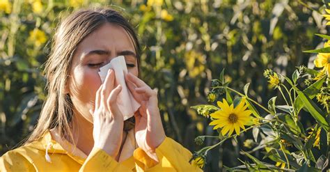 Un Antistaminico Naturale Per Le Allergie Stagionali Algem Natura