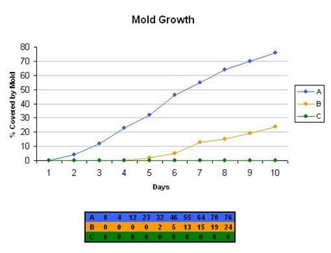 Growing Mold On Bread Experiment