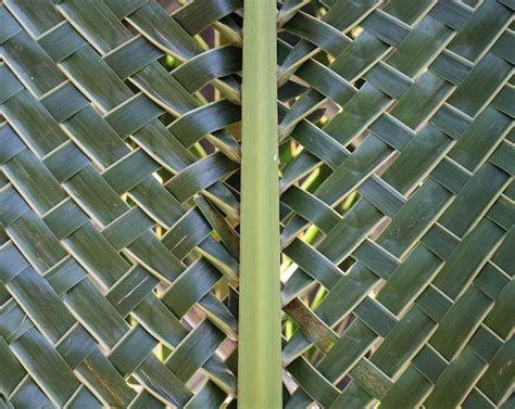 Pattern weaving of coconut leaves | Premium Photo