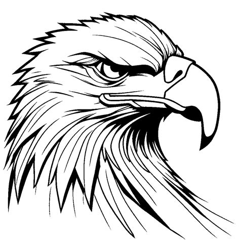 Eagle head outline coloring page Lulu Pages