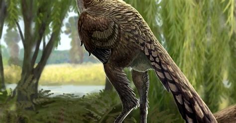 Describen Una Nueva Especie De Dinosaurio Carnívoro Que Vivió En Los Pirineos Infobae