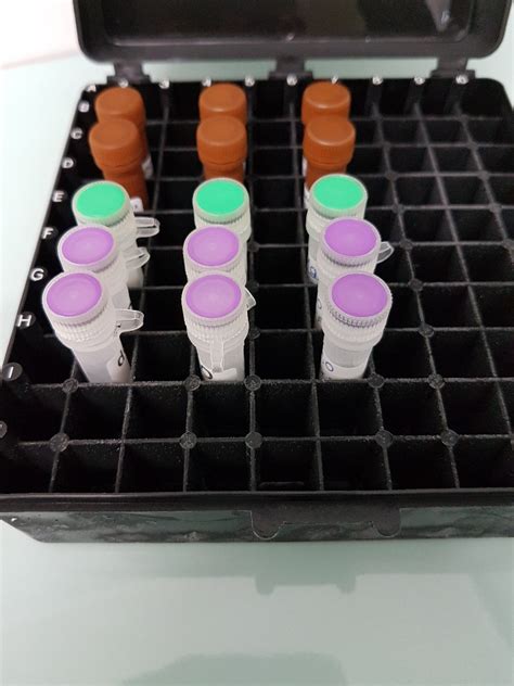 Universal Qpcr Mix With Sybrgreen And Blue Dye Luna Geneon Bioscience