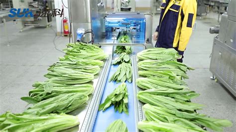 How To Packing The Fresh Vegetable Lettuce Celery Packing Machine