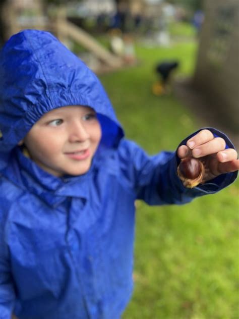 Level 1 Introduction To Forest School • Forest Schools In Northern