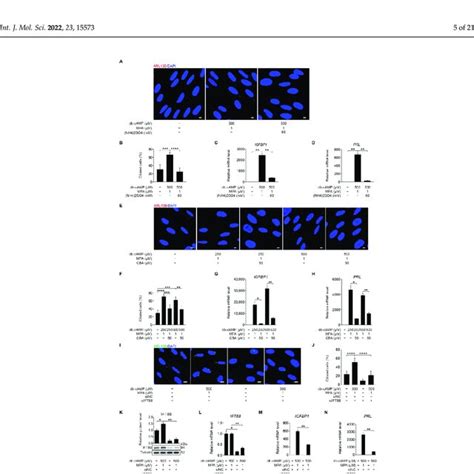 Pdf Primary Cilia Restrain Pi3k Akt Signaling To Orchestrate Human