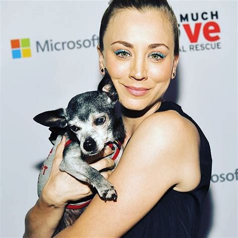 Kaley Cuoco N Yttelij Wiki El M Kerta Ik Pituus Paino