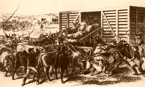 Cowboys Lawmen And The American Frontier Us Cow Towns And Cattle