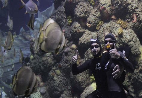 Italian Couple Sets World Record For Longest Underwater Kiss Photos