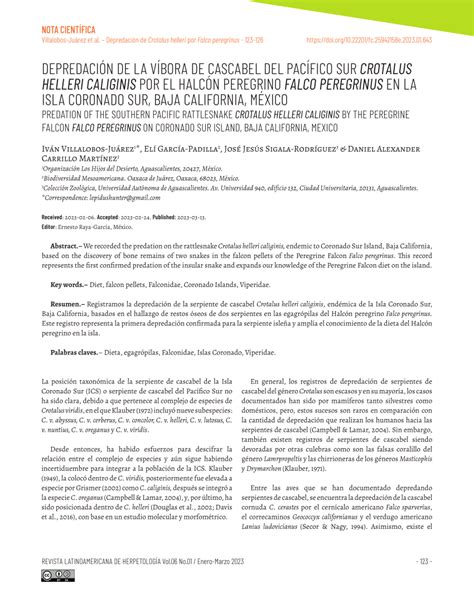 Pdf Depredaci N De La V Bora De Cascabel Del Pac Fico Sur Crotalus