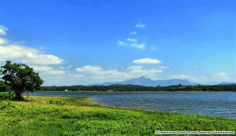 Bathalagoda Wewa Reservoir In Kurunegala