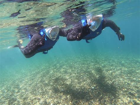 Vive El Snorkeling En El R O Liucura Araucan A Aborigen Turismo