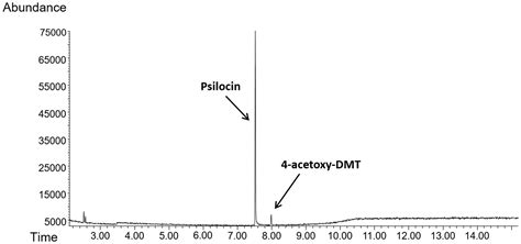 Psilocin The Real Deal” Or An Extraction Byproduct Gutman 2023