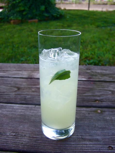 10 Best Non Alcoholic Drinks With Club Soda Recipes