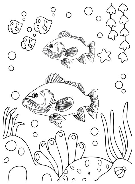 20 Bass Fish Coloring Pages - ColoringPagesOnly.com