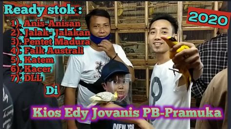 Riview Harga Burung Di Kios Edy Jovanis Pb Pramuka Sebelum Lock Down