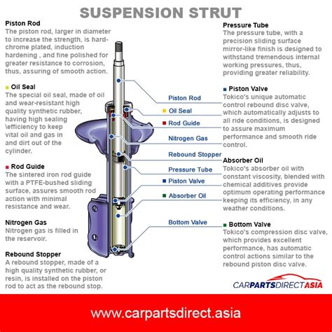 What Are The Parts Of A Shock Absorber At Betty Pierre Blog