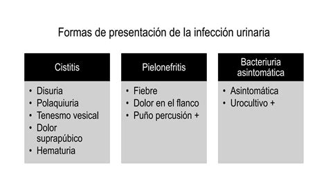 Solution Casos Cl Nicos De Infecci N Urinaria Semiolog A Resumen