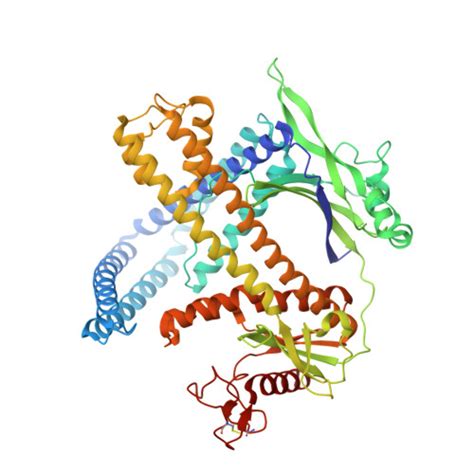 Rcsb Pdb Pm Cryo Em Structure Of The Cas M Crrna Target Dna Complex