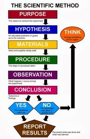 The Scientific Method Diagram Quizlet