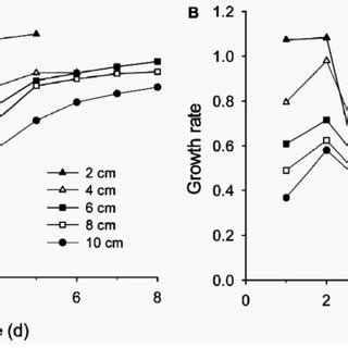 The Relationship Between Maximum Biomass Productivity Growth Rate And