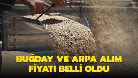 Bu Day Ve Arpa Al M Fiyat Belli Oldu