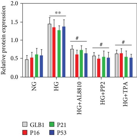 A Western Blot Of Src P Src And Pai 1 Protein Expression Levels Download Scientific Diagram