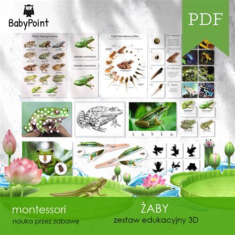 Zestawy Edukacyjne Babypoint