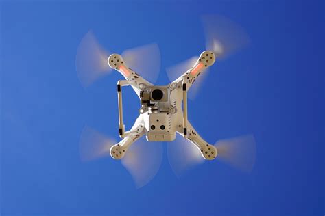 Drones Para El Control De Plagas De Roedores