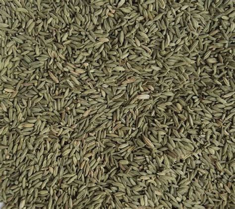 Green Natural Fennel Seeds Packaging Type Loose At Rs 135 Kg In Ahmedabad