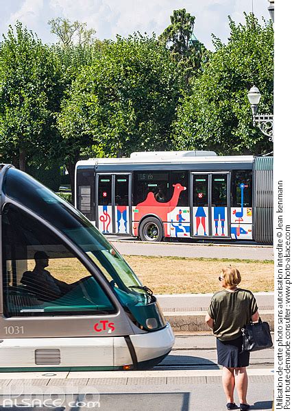 Photo Tramway Et Bus De La Compagnie De Transport En Commun