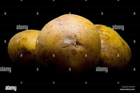 Starch Potatoes Hi Res Stock Photography And Images Alamy